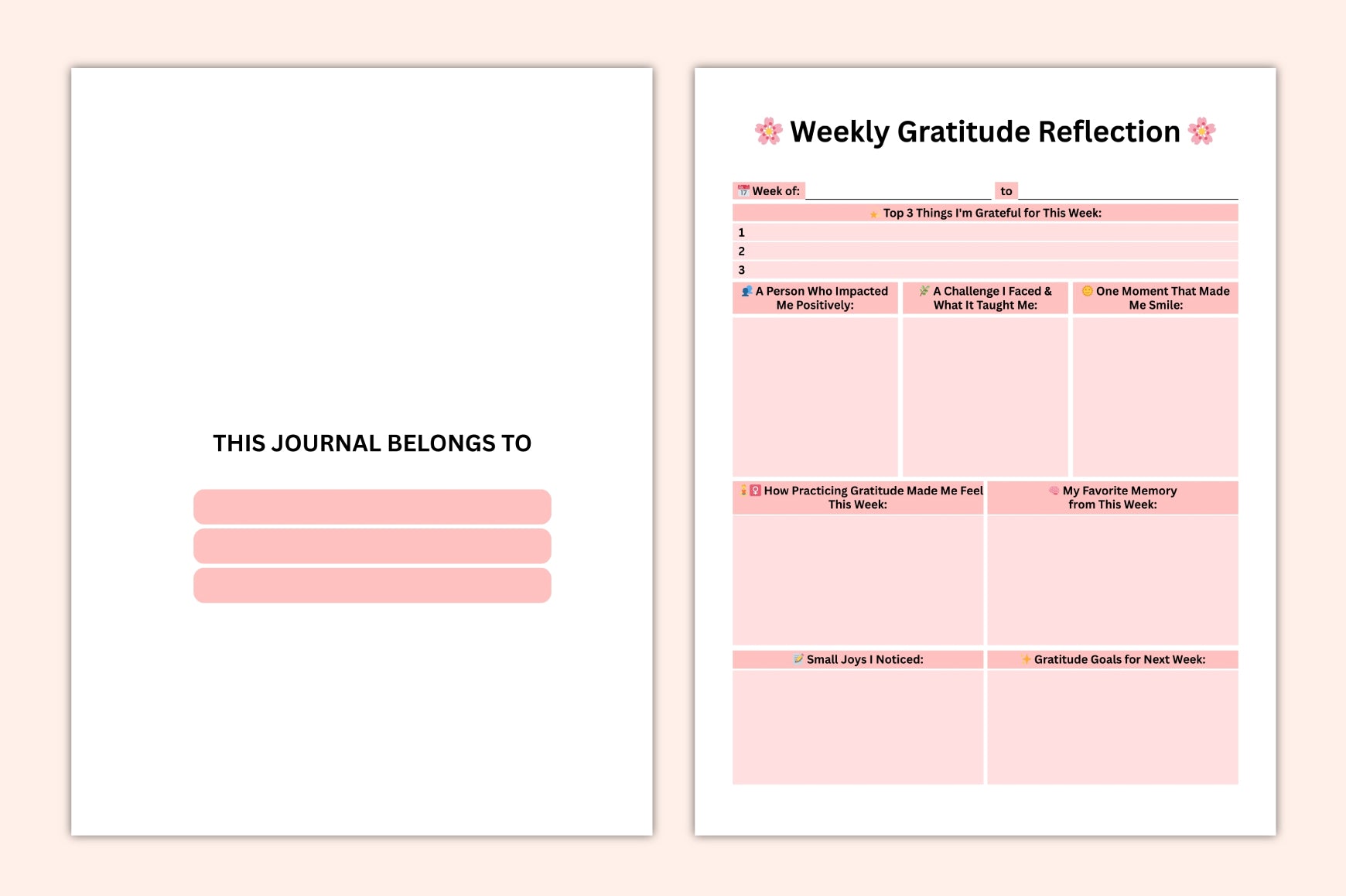 Gratitude Mindset Journal