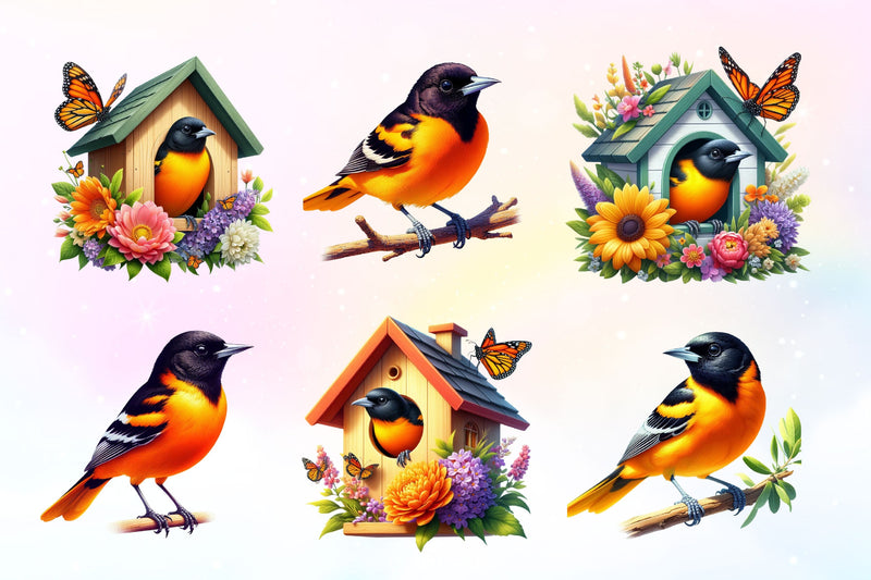 Baltimore Oriole Bird Clipart Bundle 2 - CraftNest - Digital Crafting and Art