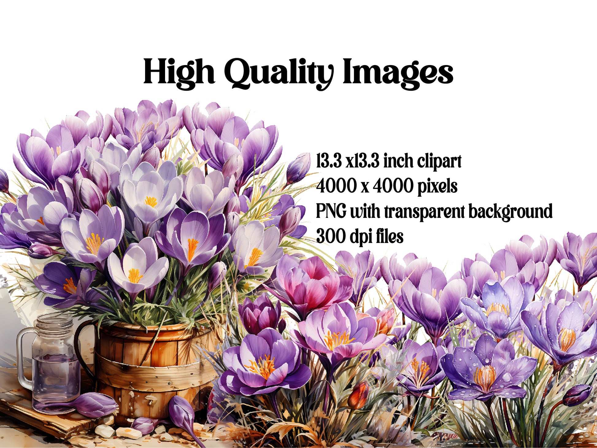 Crocus In The Crisp Clipart - CraftNest