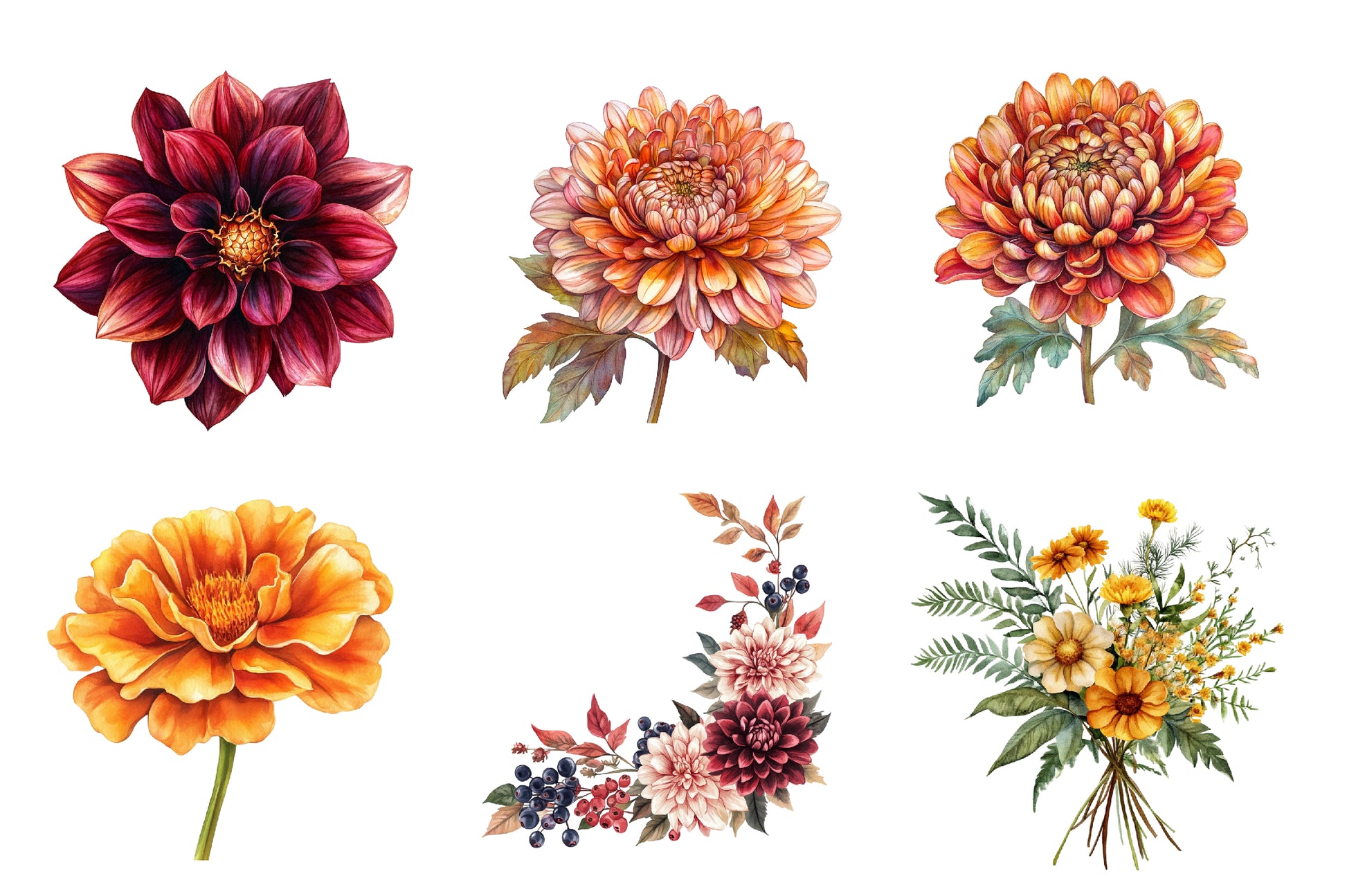 Fall Flowers Clipart Bundle - CraftNest - Digital Crafting and Art