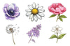 Spring Bloom Flower Clipart Bundle