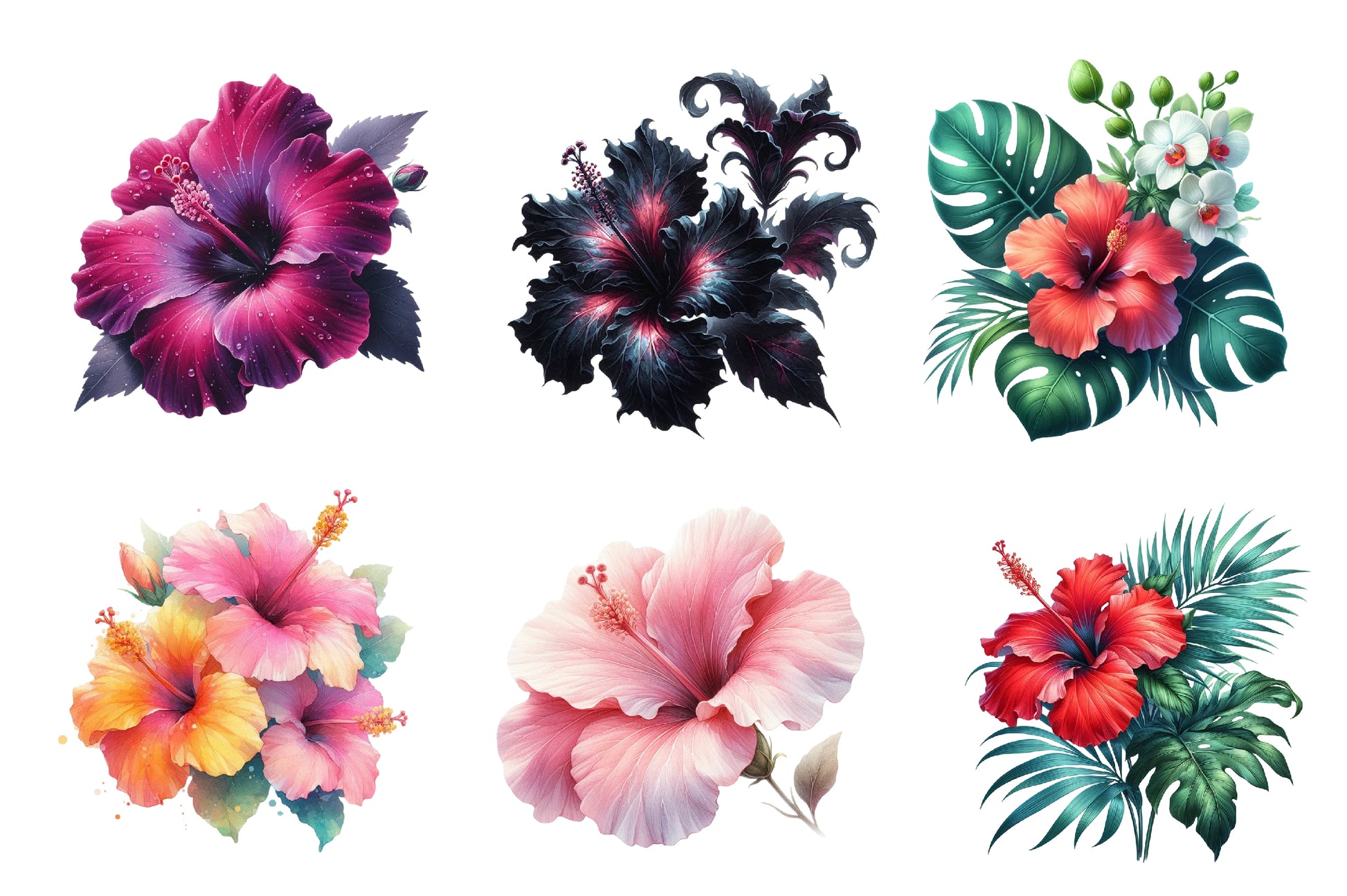 Hibiscus Flowers Clipart Bundle - CraftNest - Digital Crafting and Art
