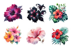 Hibiscus Flowers Clipart Bundle - CraftNest - Digital Crafting and Art