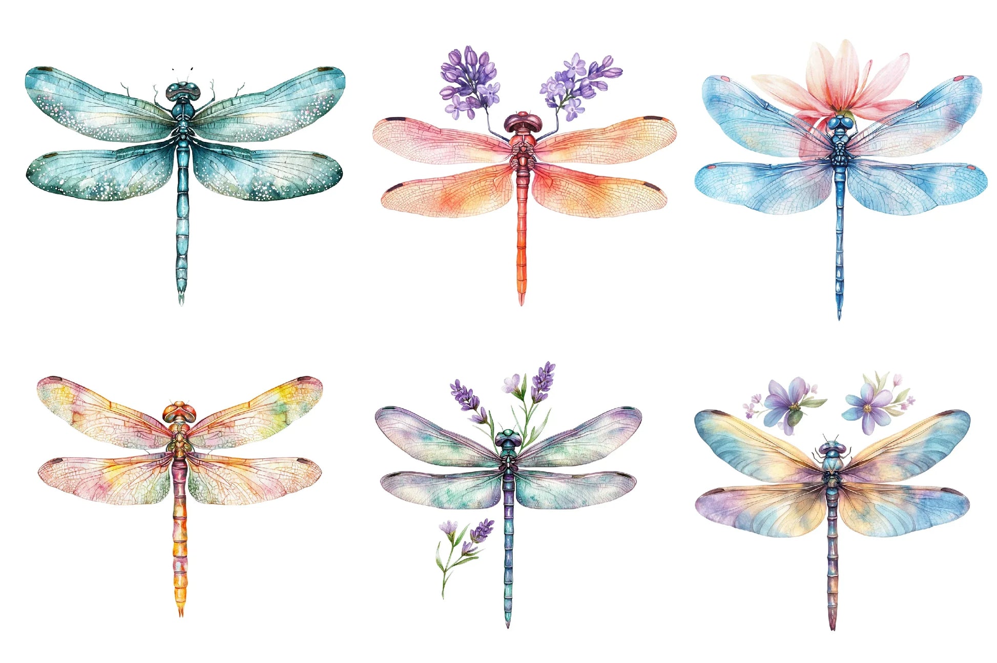 Spring Dragonflies Border Clipart Bundle - CraftNest - Digital Crafting and Art
