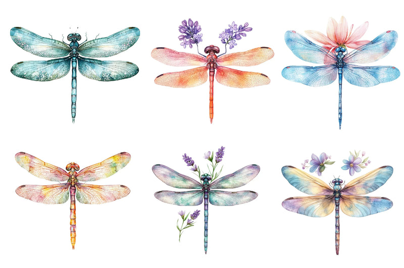 Spring Dragonflies Border Clipart Bundle - CraftNest - Digital Crafting and Art