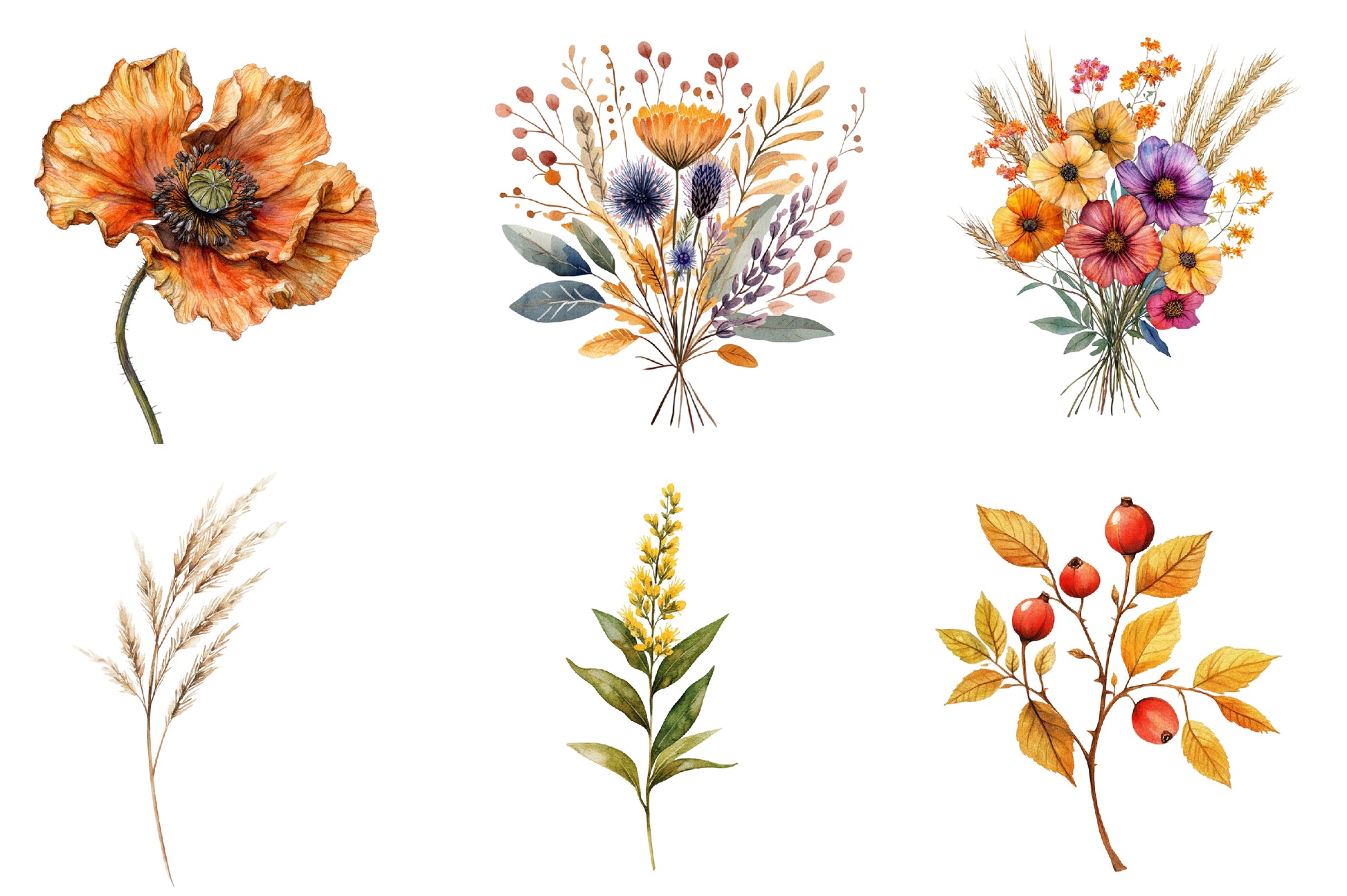 Autumn Wildflowers Clipart Bundle - CraftNest - Digital Crafting and Art