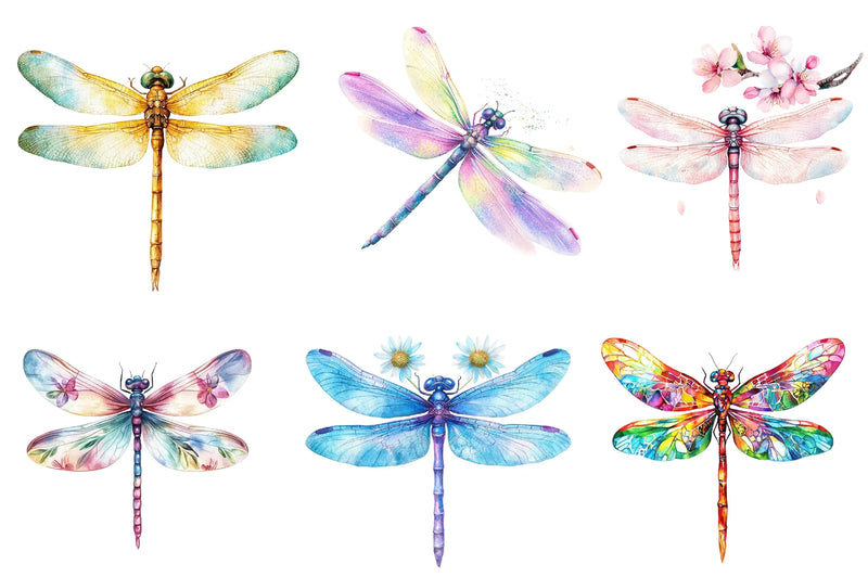 Spring Dragonflies Border Clipart Bundle - CraftNest - Digital Crafting and Art