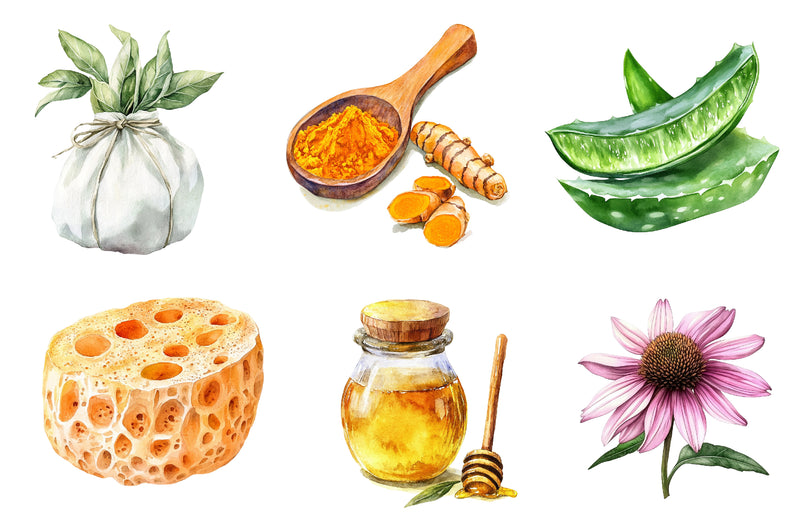 Natural Remedies Clipart Bundle - CraftNest - Digital Crafting and Art