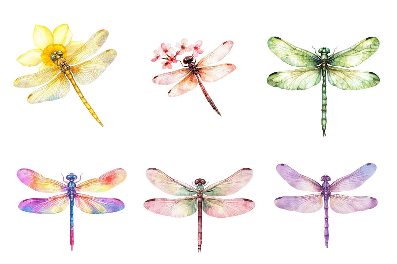 Spring Dragonflies Border Clipart Bundle - CraftNest - Digital Crafting and Art