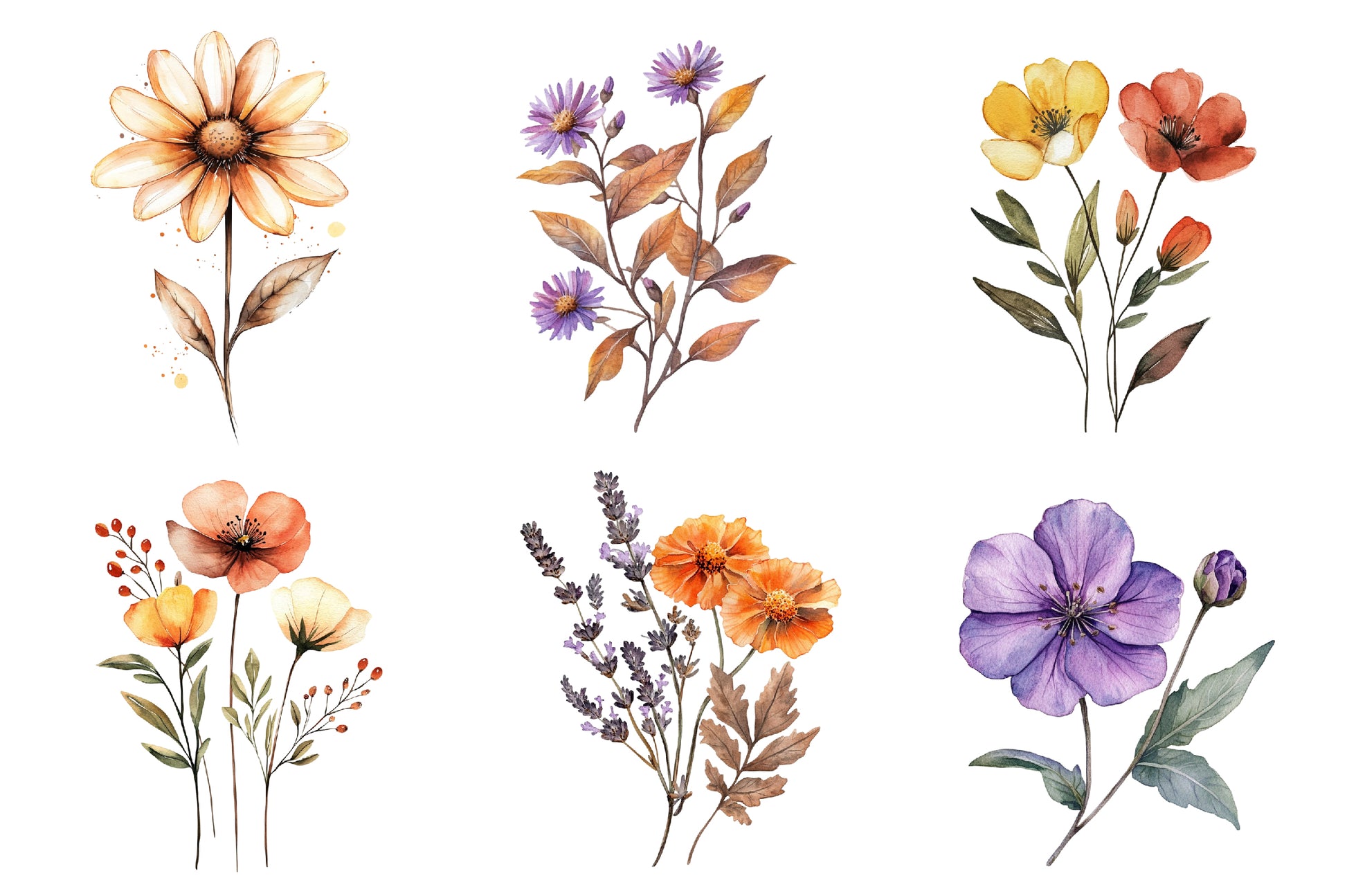 Autumn Wildflowers Clipart Bundle - CraftNest - Digital Crafting and Art