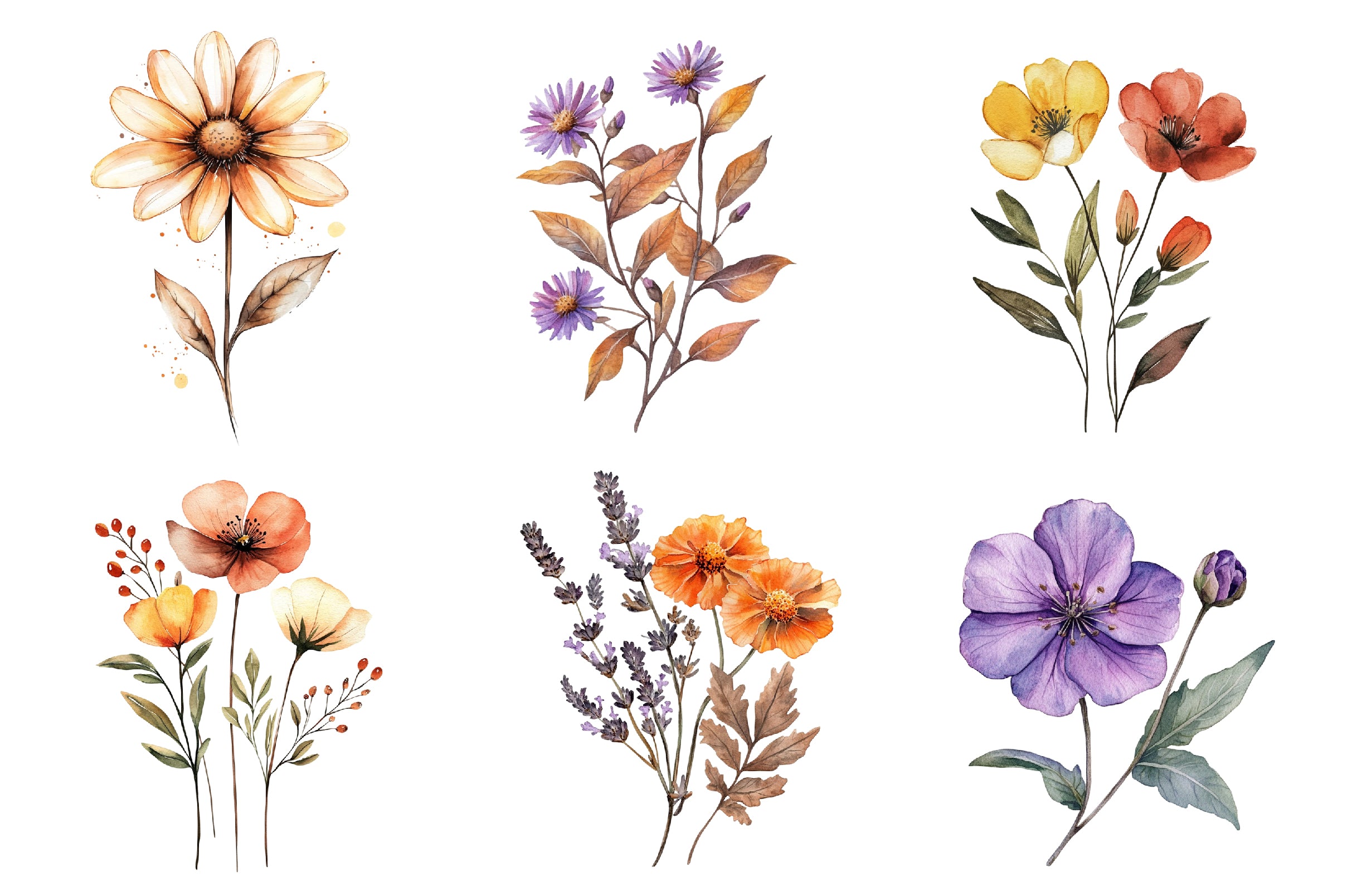 Autumn Wildflowers Clipart Bundle - CraftNest - Digital Crafting and Art