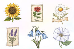 Vintage Flowers Seed Packet Clipart Bundle - CraftNest - Digital Crafting and Art