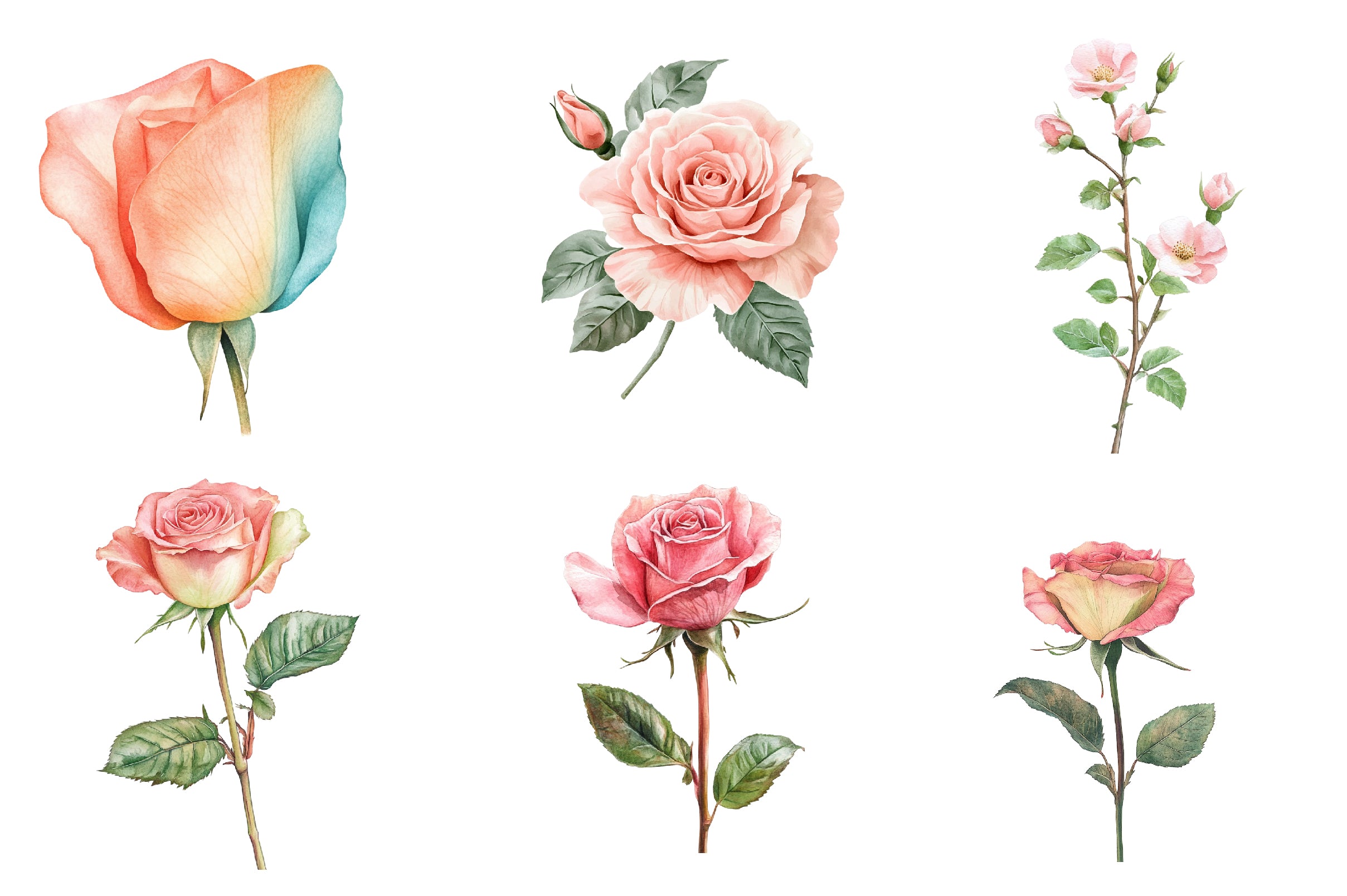 Mint And Pink Rose Garden Clipart Bundle - CraftNest - Digital Crafting and Art