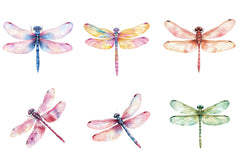 Spring Dragonflies Border Clipart Bundle - CraftNest - Digital Crafting and Art