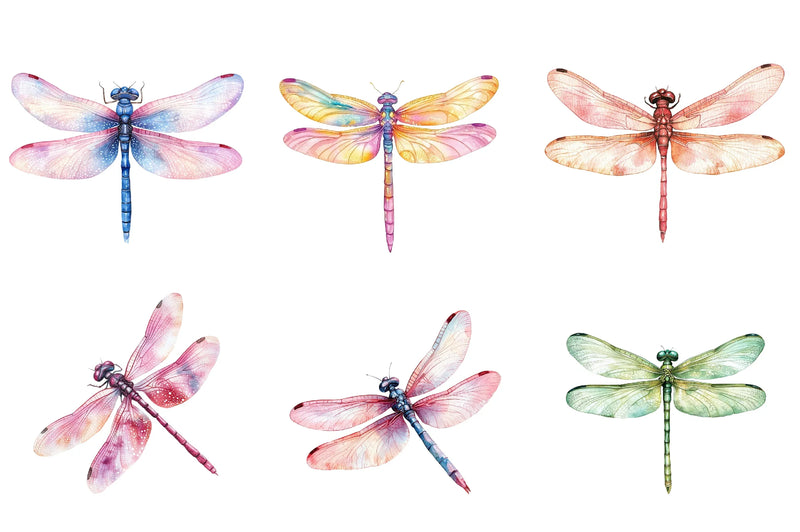 Spring Dragonflies Border Clipart Bundle - CraftNest - Digital Crafting and Art