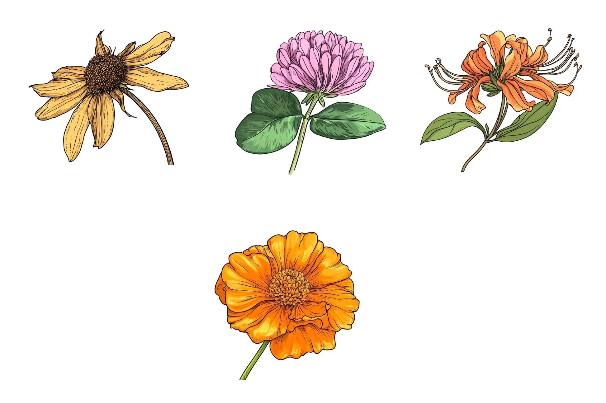 Spring Bloom Flower Clipart Bundle - CraftNest - Digital Crafting and Art