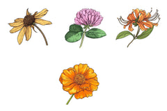 Spring Bloom Flower Clipart Bundle - CraftNest - Digital Crafting and Art