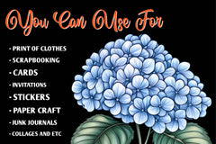 Vintage Flowers Seed Packet Clipart Bundle - CraftNest - Digital Crafting and Art