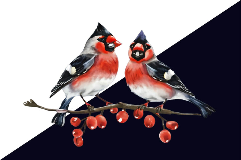 Christmas Floral Bird Clipart Bundle 1 - CraftNest - Digital Crafting and Art