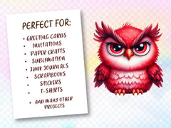 Funny Grumpy Owl Clipart Bundle - CraftNest - Digital Crafting and Art