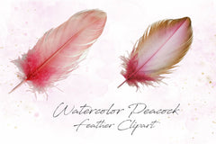 Peacock Feather Clipart Bundle - CraftNest - Digital Crafting and Art