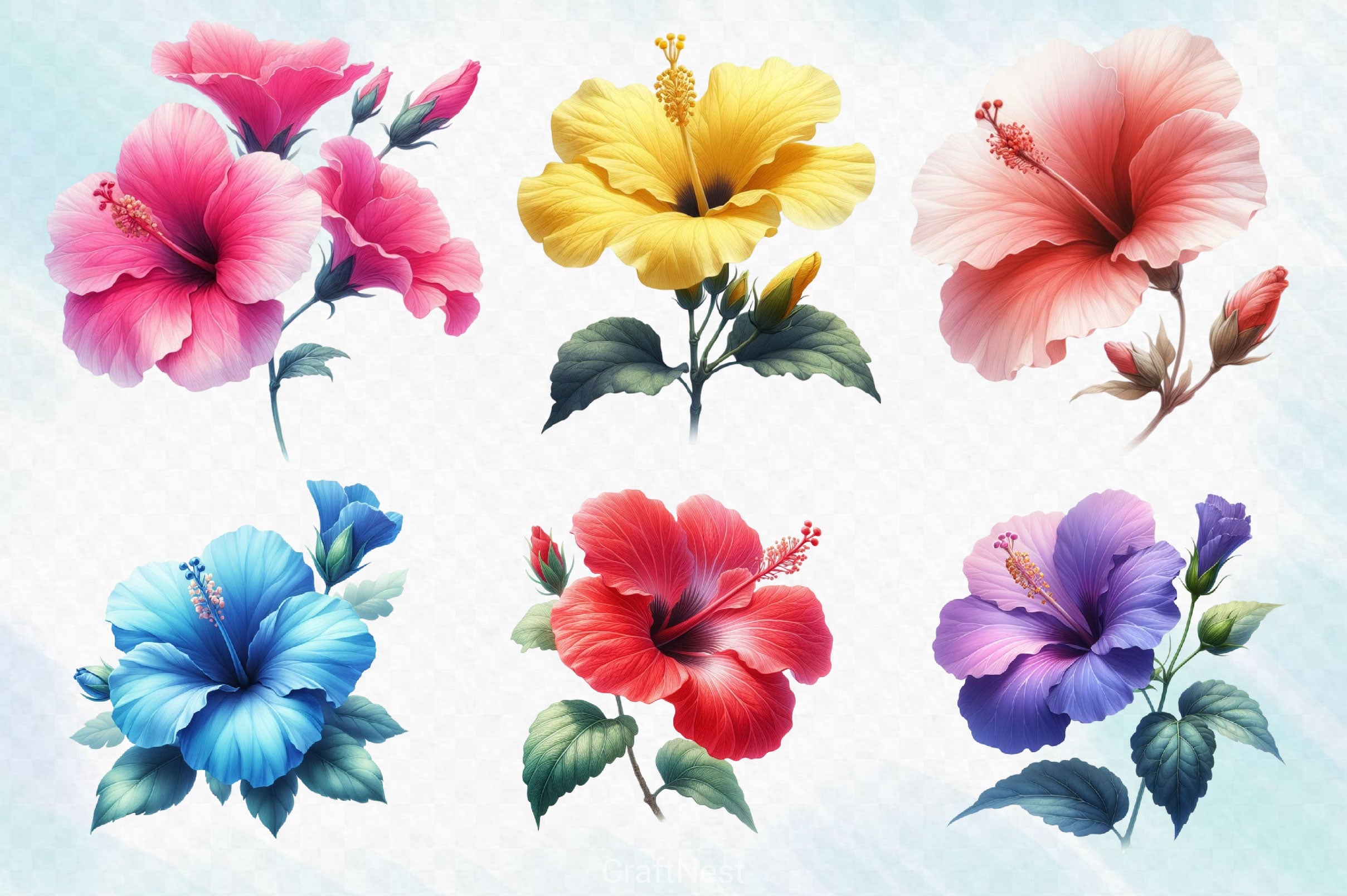 Colorful Hibiscus Clipart Bundle - CraftNest - Digital Crafting and Art