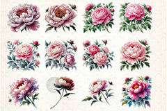Peonies Clipart Bundle - CraftNest - Digital Crafting and Art