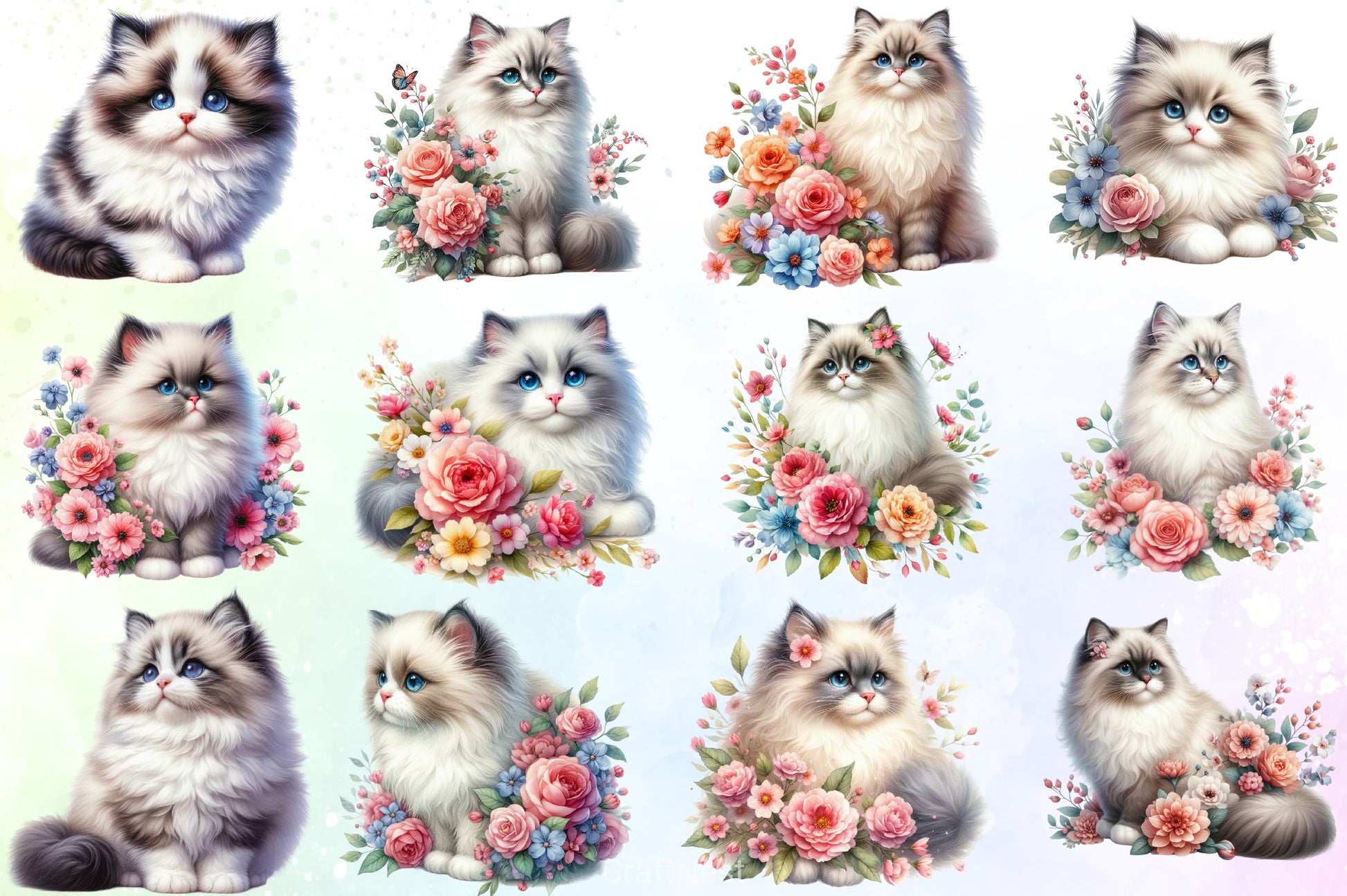 Ragdoll Cat Clipart Bundle - CraftNest - Digital Crafting and Art