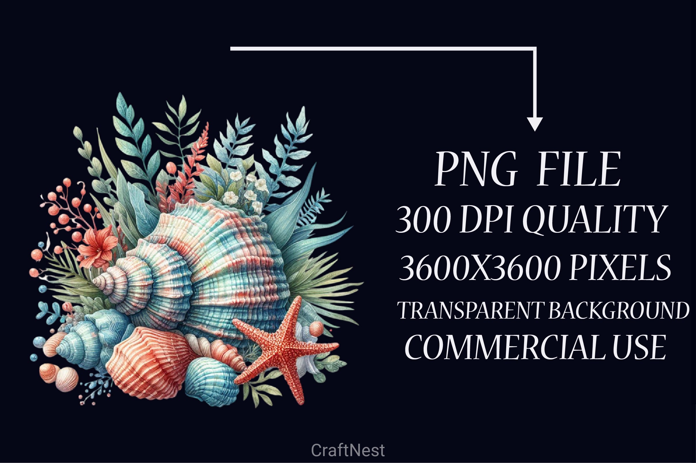 Seashell Clipart Bundle - CraftNest - Digital Crafting and Art