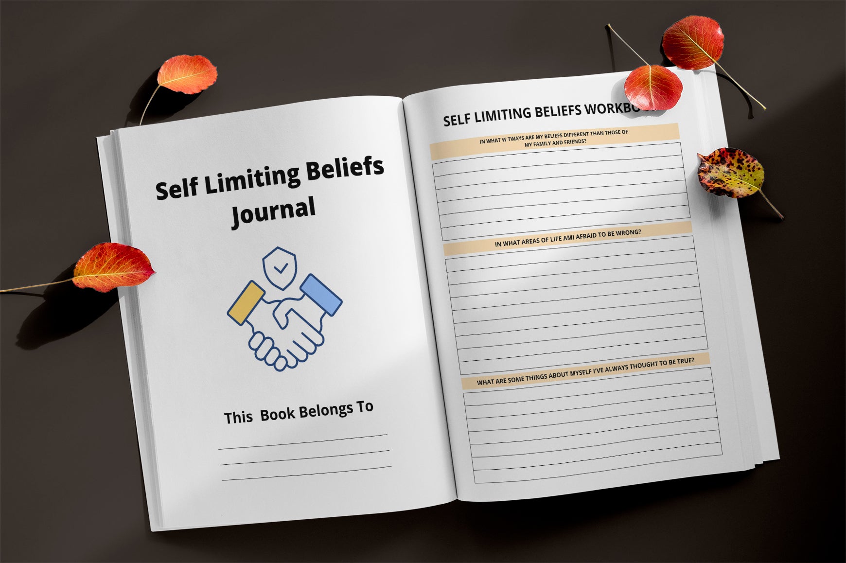 Self Limiting Beliefs Journal