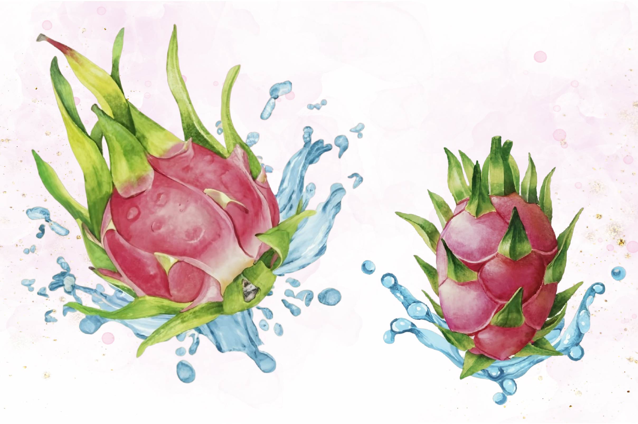 Dragon Fruit Clipart Bundle 1 - CraftNest - Digital Crafting and Art