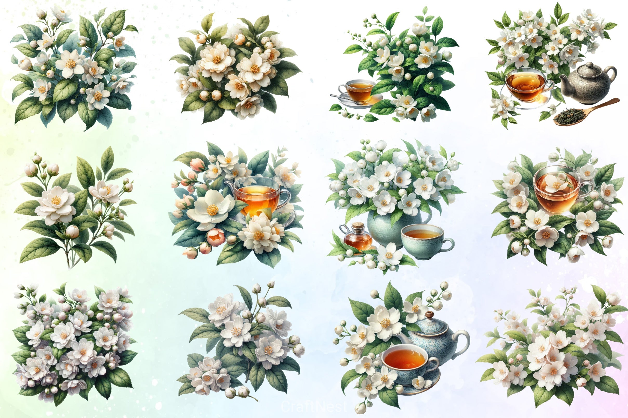Jasmine Tea Clipart Bundle - CraftNest - Digital Crafting and Art