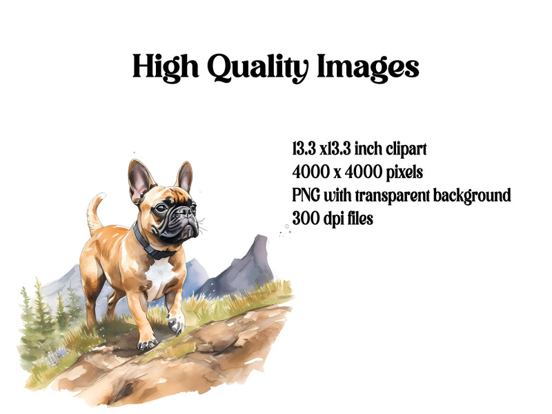 French Bulldog Clipart - CraftNest