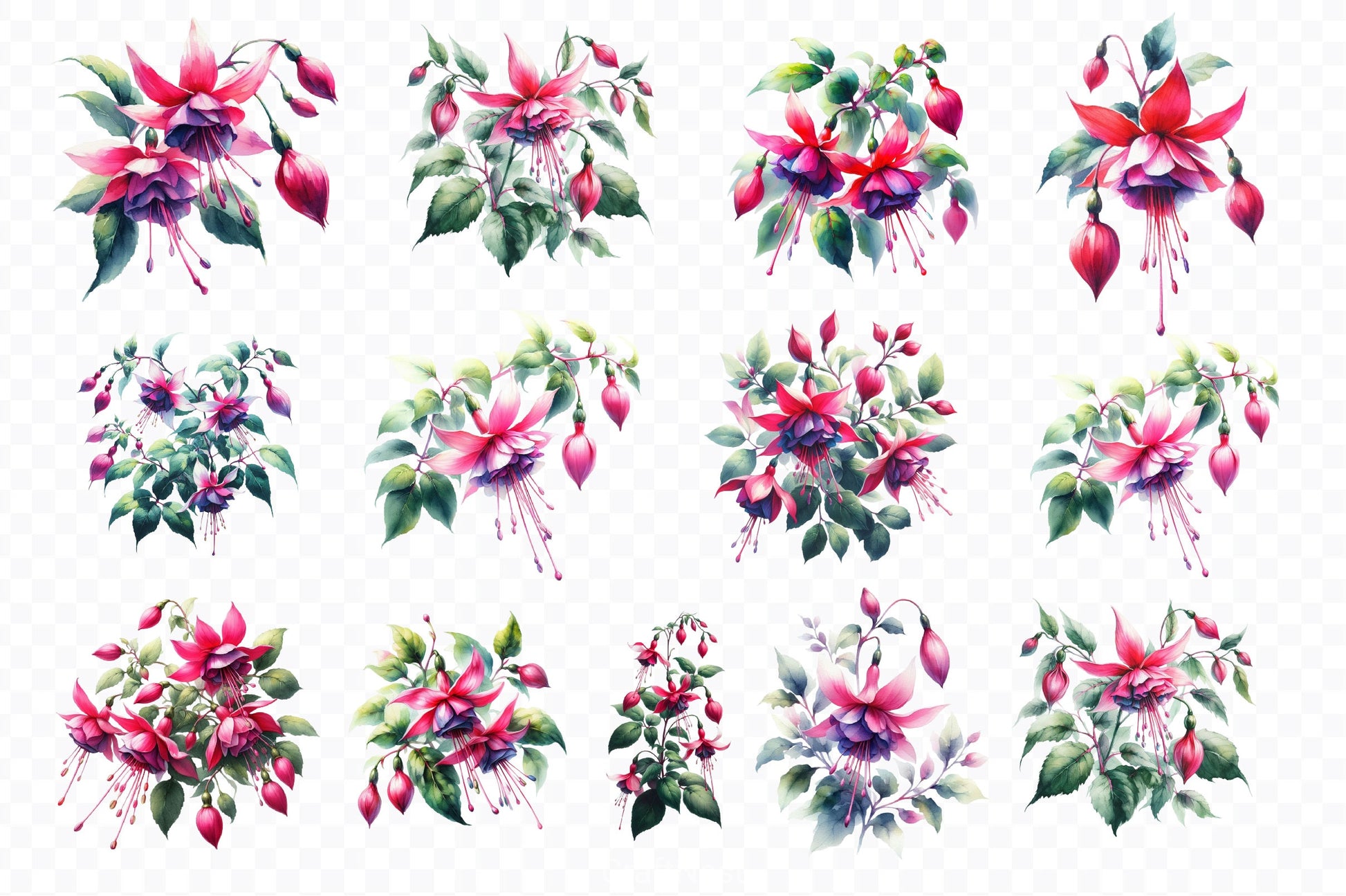 Fuchsia Flowers Clipart Bundle - CraftNest - Digital Crafting and Art