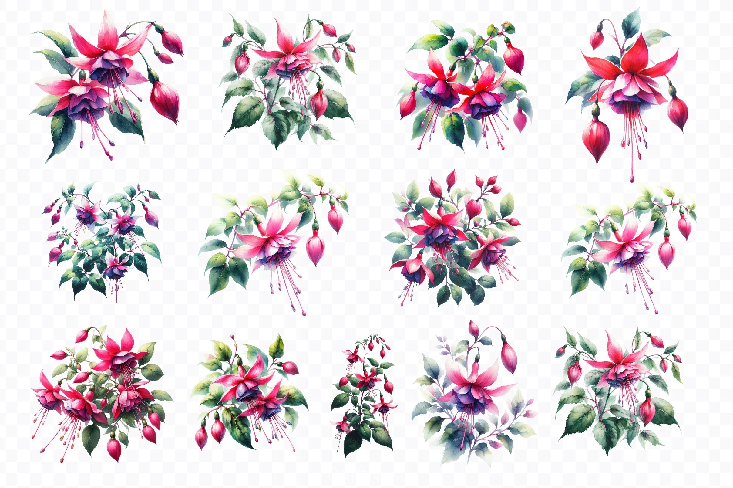 Fuchsia Flowers Clipart Bundle - CraftNest - Digital Crafting and Art