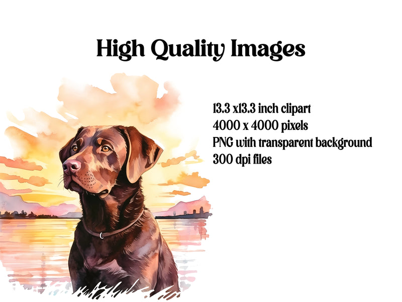 Labrador Retriever Clipart - CraftNest