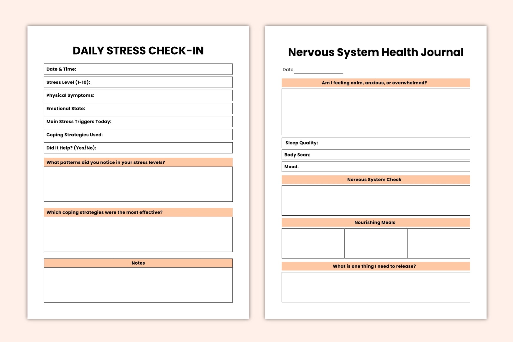 Somatic Nervous System Healing Workbook