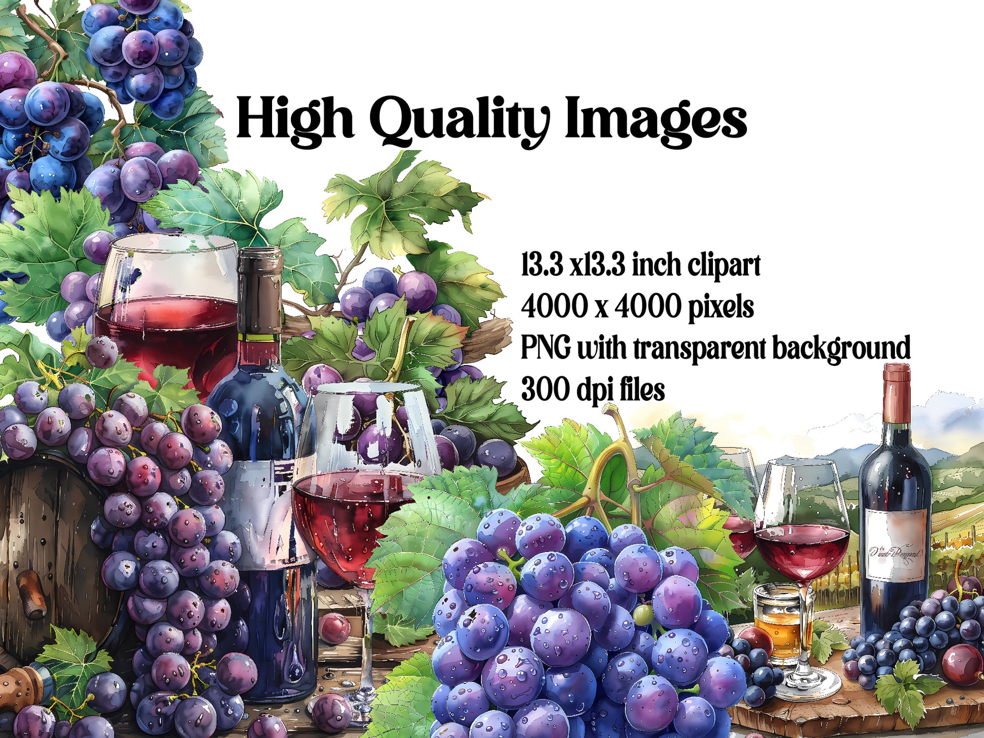 Vineyard Grapes Clipart - CraftNest - Digital Crafting and Art