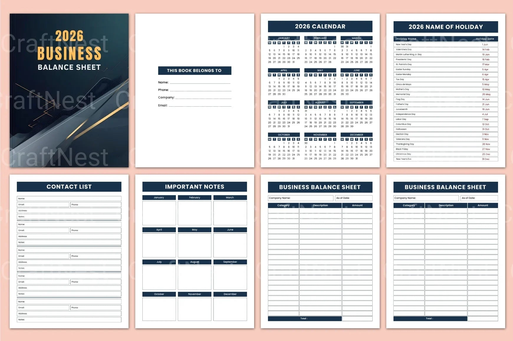 Business Balance Sheet Overview - CraftNest - Digital Crafting and Art