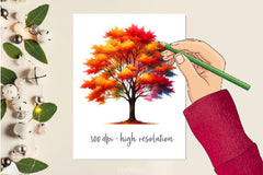 Fall Tree Autumn Tree Clipart Bundle - CraftNest - Digital Crafting and Art