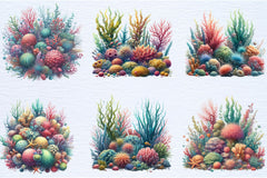 Colorful Coral Reef Sea Shell Clipart Bundle - CraftNest - Digital Crafting and Art