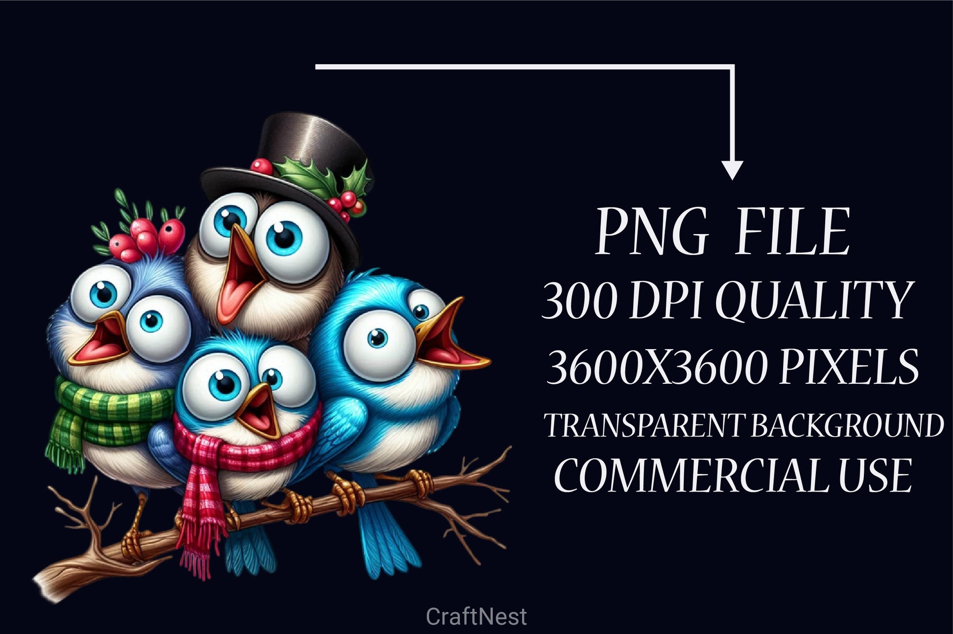 Christmas Funny Bird Clipart Bundle - CraftNest - Digital Crafting and Art