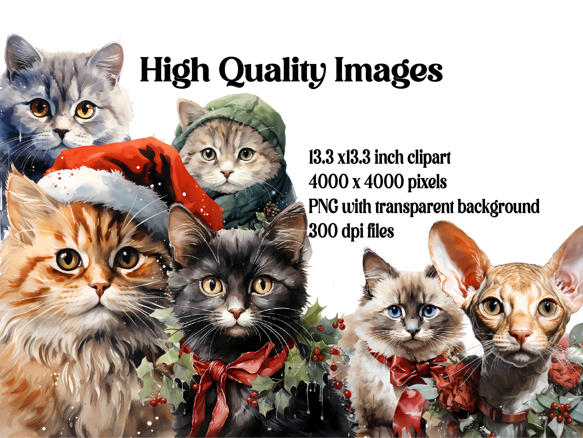 Christmas Cats Clipart - CraftNest