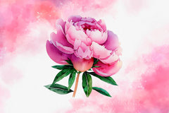 Pink Peony Set Clipart Bundle - CraftNest - Digital Crafting and Art