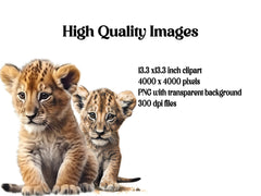 Baby Lion Clipart - CraftNest