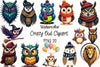 Crazy Owl Clipart Bundle