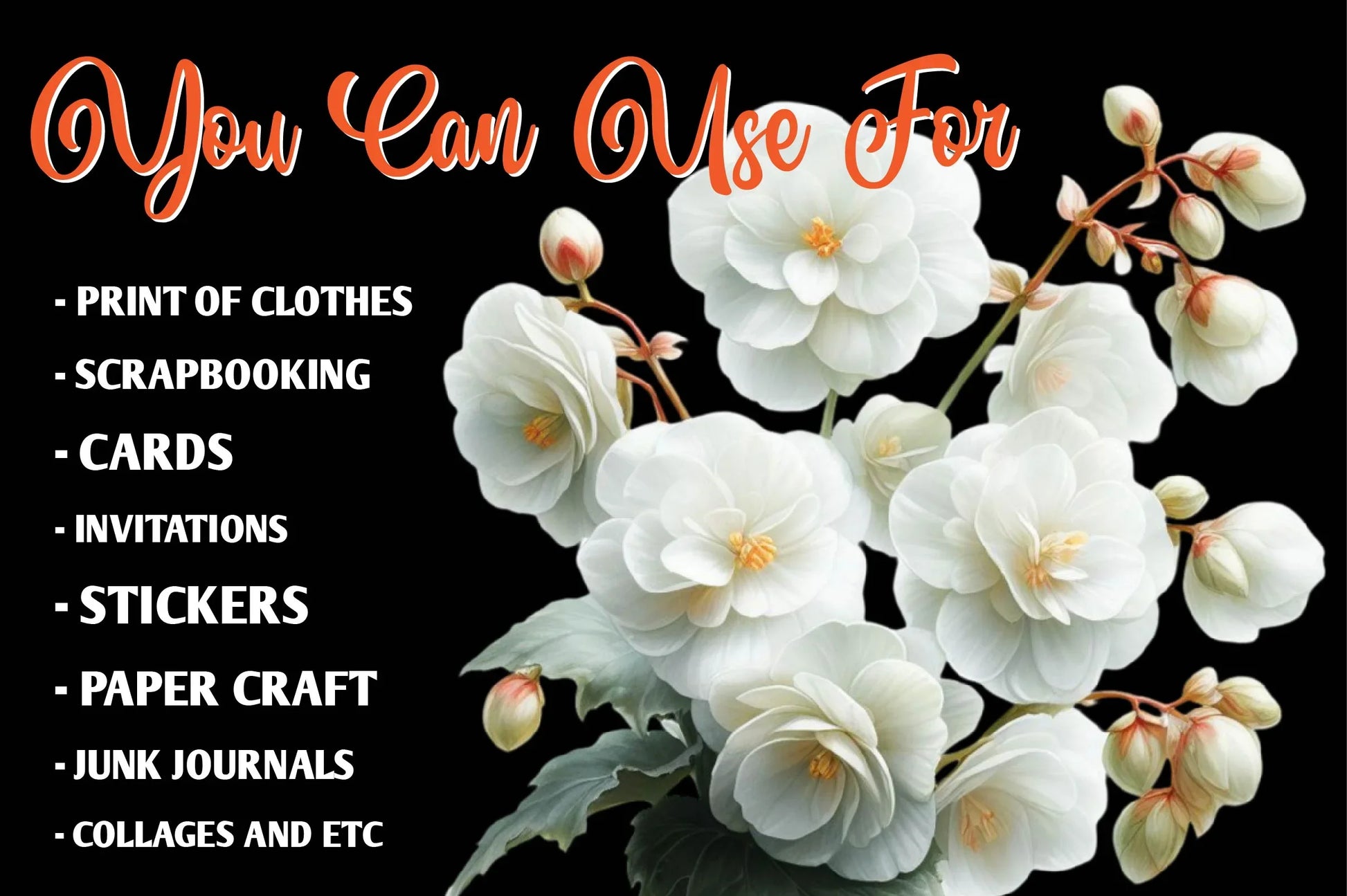 Begonia Flower Clipart Bundle - CraftNest - Digital Crafting and Art