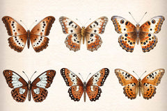 Vintage Butterflies Wings Clipart Bundle - CraftNest - Digital Crafting and Art
