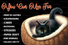 Quirky Funny Black Cat Clipart Bundle 1 - CraftNest - Digital Crafting and Art
