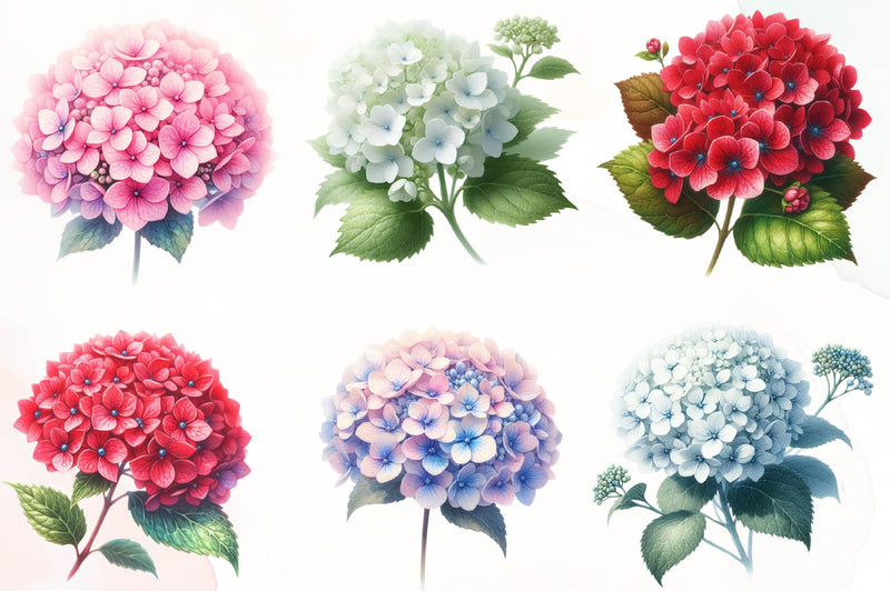 Hydrangea Flowers Clipart Bundle - CraftNest - Digital Crafting and Art